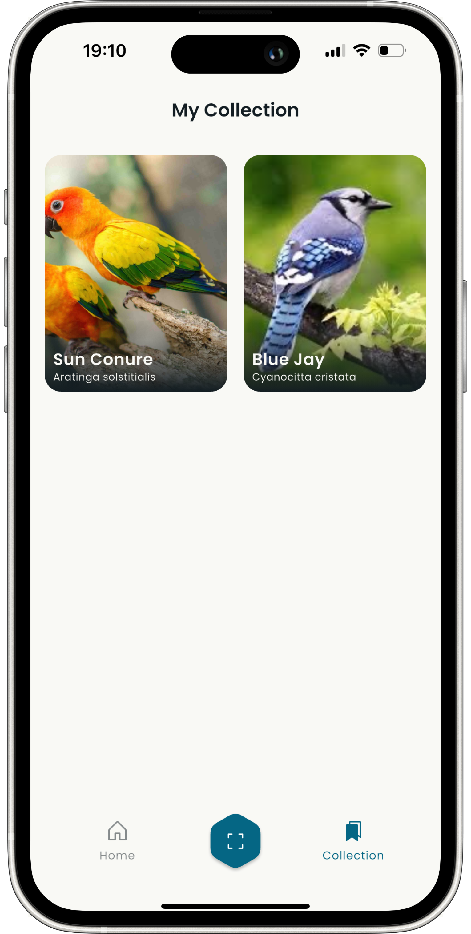 Offline Access - BirdTunes bird identification feature